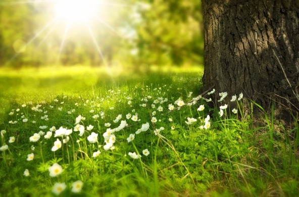 Glad Sommar! - Steconfer